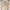 Politics Hoodie 'Nivin' (Beige)