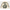 Godspeed 'Top 5 Slizzy Ls' (Bone)