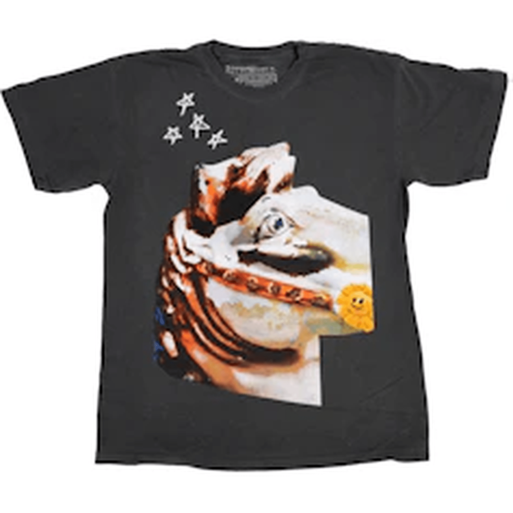 TC 311 - Image